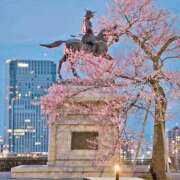 ヒメ日記 2026/04/08 07:16 投稿 みな 熟女の風俗最終章 仙台店