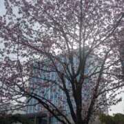 みな 今日もありがとう 熟女の風俗最終章 仙台店