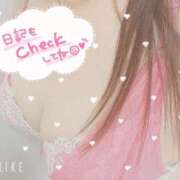 ヒメ日記 2025/02/10 18:08 投稿 ゆみか 熟女家 堺東店