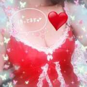 ヒメ日記 2025/11/08 12:28 投稿 ゆみか 熟女家 堺東店