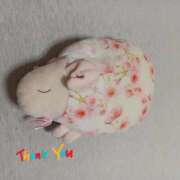 ヒメ日記 2025/12/17 22:46 投稿 長沢 熟女の風俗最終章　鶯谷店