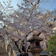 ヒメ日記 2026/04/02 16:06 投稿 長沢 熟女の風俗最終章　鶯谷店