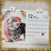 ヒメ日記 2024/12/21 14:26 投稿 みゆ(人妻) THE・TRY