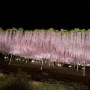 ヒメ日記 2025/12/08 22:39 投稿 みゆ(人妻) THE・TRY