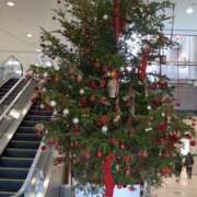 ヒメ日記 2025/12/23 14:40 投稿 みゆ(人妻) THE・TRY