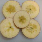 ヒメ日記 2026/01/29 08:36 投稿 みゆ(人妻) THE・TRY