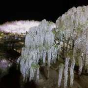 みゆ(人妻) 明日 THE・TRY