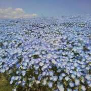 ヒメ日記 2026/04/22 21:31 投稿 みゆ(人妻) THE・TRY