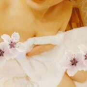 ヒメ日記 2025/02/11 16:43 投稿 風間　ひなこ エテルナ京都