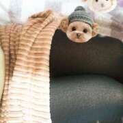 ヒメ日記 2025/02/22 14:06 投稿 風間　ひなこ エテルナ京都