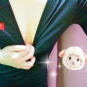 ヒメ日記 2025/09/29 14:46 投稿 風間　ひなこ エテルナ京都