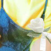 ヒメ日記 2026/03/14 11:34 投稿 風間　ひなこ エテルナ京都