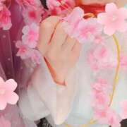 ヒメ日記 2026/03/31 16:02 投稿 風間　ひなこ エテルナ京都