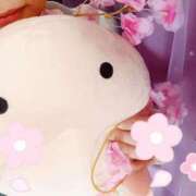 ヒメ日記 2026/03/31 16:32 投稿 風間　ひなこ エテルナ京都