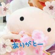 ヒメ日記 2026/03/31 19:03 投稿 風間　ひなこ エテルナ京都