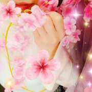 ヒメ日記 2026/04/08 11:25 投稿 風間　ひなこ エテルナ京都