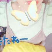 ヒメ日記 2026/04/24 19:16 投稿 風間　ひなこ エテルナ京都