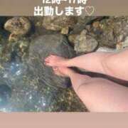 ヒメ日記 2025/08/31 11:59 投稿 りんか 再婚したい女達