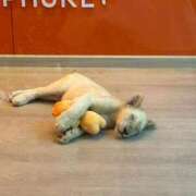 沙月【サツキ】 トークからでもご予約可能です❣️ Evolution1st キタ兎我野店