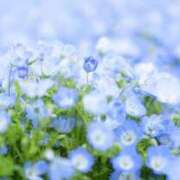 ヒメ日記 2025/02/21 06:58 投稿 も　か XSTASY（エクスタシー）