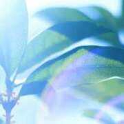 ヒメ日記 2025/02/28 07:16 投稿 も　か XSTASY（エクスタシー）