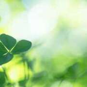 ヒメ日記 2025/03/04 11:20 投稿 も　か XSTASY（エクスタシー）