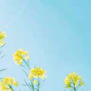 ヒメ日記 2025/03/22 05:36 投稿 も　か XSTASY（エクスタシー）