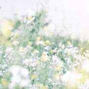 ヒメ日記 2025/03/26 05:58 投稿 も　か XSTASY（エクスタシー）