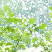 ヒメ日記 2025/04/23 06:33 投稿 も　か XSTASY（エクスタシー）