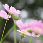 ヒメ日記 2025/04/24 06:03 投稿 も　か XSTASY（エクスタシー）