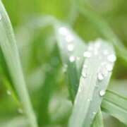 ヒメ日記 2025/05/10 07:22 投稿 も　か XSTASY（エクスタシー）