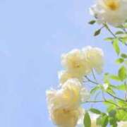 ヒメ日記 2025/05/15 05:02 投稿 も　か XSTASY（エクスタシー）