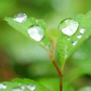 ヒメ日記 2025/05/17 06:13 投稿 も　か XSTASY（エクスタシー）