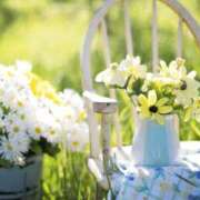 ヒメ日記 2025/05/22 05:15 投稿 も　か XSTASY（エクスタシー）