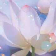 ヒメ日記 2025/05/23 06:02 投稿 も　か XSTASY（エクスタシー）