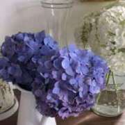 ヒメ日記 2025/06/04 10:20 投稿 も　か XSTASY（エクスタシー）