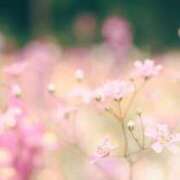 ヒメ日記 2025/06/07 06:46 投稿 も　か XSTASY（エクスタシー）