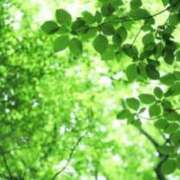 ヒメ日記 2025/06/18 06:25 投稿 も　か XSTASY（エクスタシー）