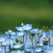 ヒメ日記 2025/07/10 10:55 投稿 も　か XSTASY（エクスタシー）