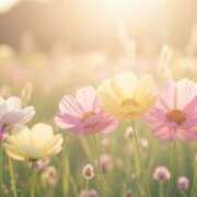 ヒメ日記 2025/07/24 06:32 投稿 も　か XSTASY（エクスタシー）