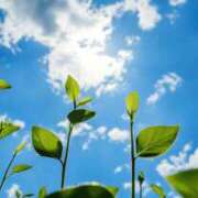 ヒメ日記 2025/08/01 06:18 投稿 も　か XSTASY（エクスタシー）