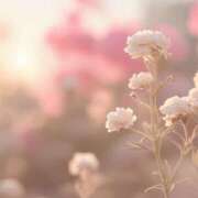 ヒメ日記 2025/08/05 05:50 投稿 も　か XSTASY（エクスタシー）