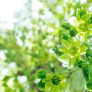 ヒメ日記 2025/08/09 05:59 投稿 も　か XSTASY（エクスタシー）