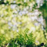 ヒメ日記 2025/08/15 05:16 投稿 も　か XSTASY（エクスタシー）