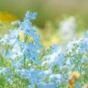 ヒメ日記 2025/08/22 06:15 投稿 も　か XSTASY（エクスタシー）