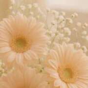 ヒメ日記 2025/09/01 05:22 投稿 も　か XSTASY（エクスタシー）