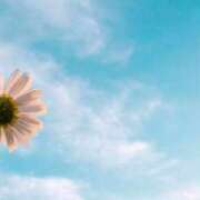 ヒメ日記 2025/10/16 06:20 投稿 も　か XSTASY（エクスタシー）