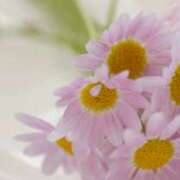 ヒメ日記 2025/10/21 05:44 投稿 も　か XSTASY（エクスタシー）