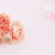 ヒメ日記 2025/11/05 05:33 投稿 も　か XSTASY（エクスタシー）