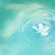 ヒメ日記 2025/11/07 05:55 投稿 も　か XSTASY（エクスタシー）